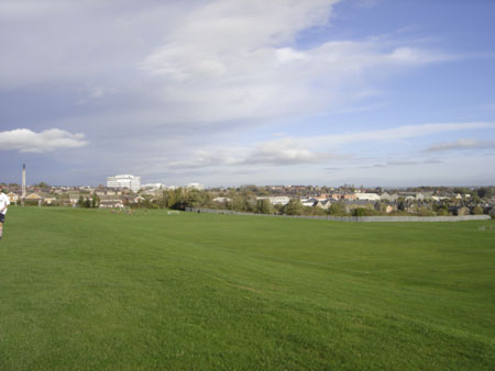 DSC06238